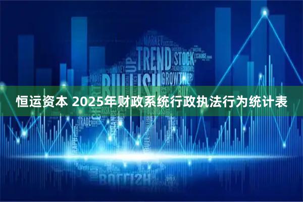 恒运资本 2025年财政系统行政执法行为统计表