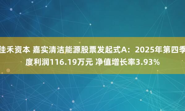 佳禾资本 嘉实清洁能源股票发起式A：2025年第四季度利润116.19万元 净值增长率3.93%