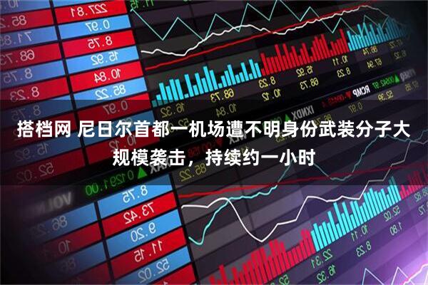 搭档网 尼日尔首都一机场遭不明身份武装分子大规模袭击，持续约一小时