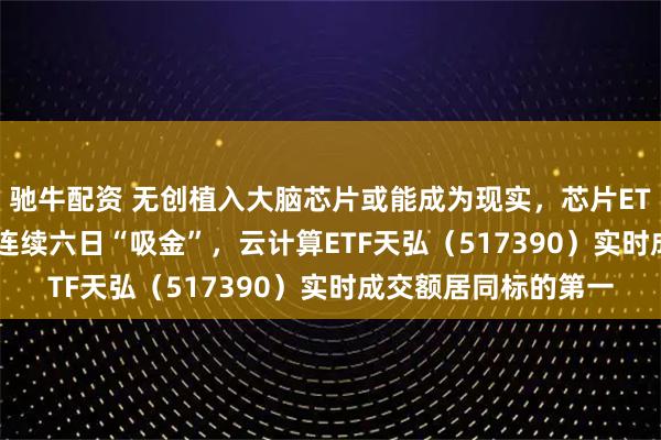 驰牛配资 无创植入大脑芯片或能成为现实,芯片ETF天弘(159310)连续六日“吸金”,云计算ETF天弘(517390)实时成交额居同标的第一